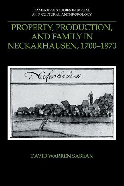 Produktbild: Property, Production, and Family in Neckarhausen, 1700 1870