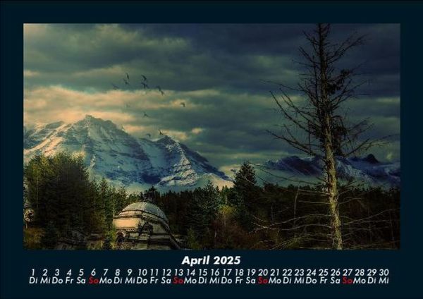 Produktbild: B&auml;ume 2025 Fotokalender DIN A5