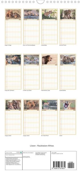 Produktbild: L&ouml;wen - Raubkatzen Afrikas - Familienplaner hoch (Wandkalender 2022 , 21 cm x 45 cm, hoch)