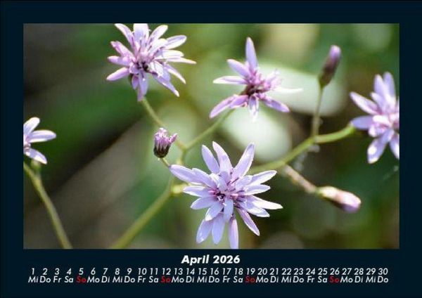 Produktbild: Bilder der Natur 2026 Fotokalender DIN A5