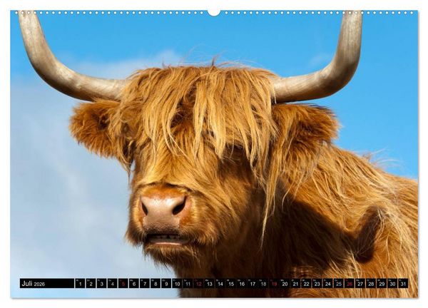 Produktbild: Schottland (Wandkalender 2026 DIN A2 quer), CALVENDO Monatskalender