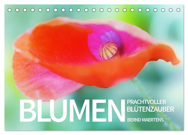 BLUMEN Prachtvoller Blütenzauber (Tischkalender 2024 DIN A5 quer), CALVENDO Monatskalender