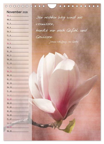 Produktbild: Blumen & Zitate / Geburtstagskalender (Wandkalender 2026 DIN A4 hoch), CALVENDO Monatskalender
