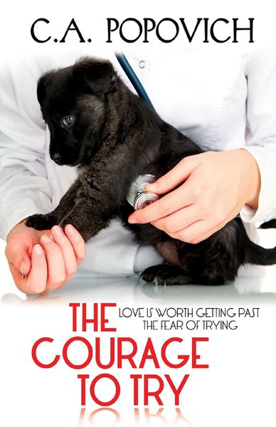 Produktbild: The Courage to Try