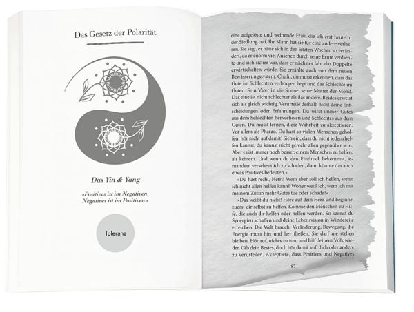 Produktbild: Higher Mind. Die Gesetze des Bewusstseins