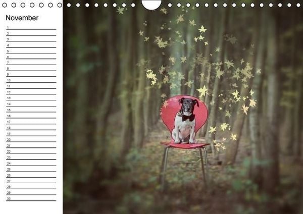 Produktbild: Jack Russell Terrier - Ein Verwandlungsk&uuml;nstler namens Jake / Geburtstagskalender (Wandkalender immerw&auml;hrend DIN A4 quer)