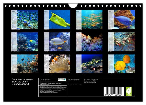 Produktbild: Paradiese im ewigen Blau. Die bunte Unterwasserwelt (Wandkalender 2026 DIN A4 quer), CALVENDO Monatskalender