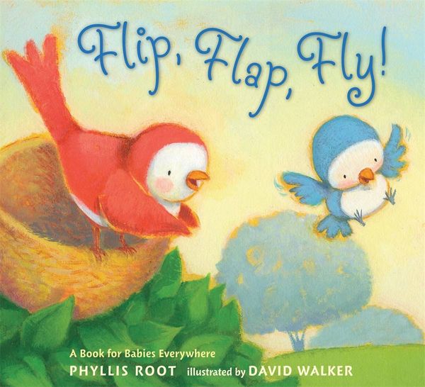 Produktbild: Flip Flap Fly