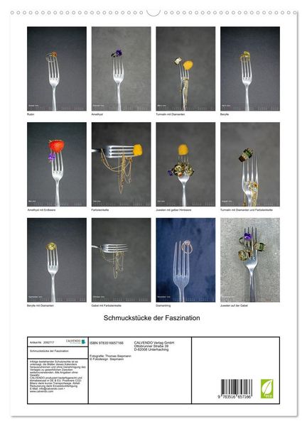 Produktbild: Schmuckst&uuml;cke der Faszination (hochwertiger Premium Wandkalender 2026 DIN A2 hoch), Kunstdruck in Hochglanz
