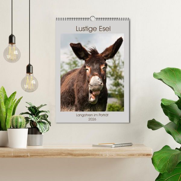Produktbild: Lustige Esel - Langohren im Portr&auml;t (Wandkalender 2026 DIN A3 hoch), CALVENDO Monatskalender