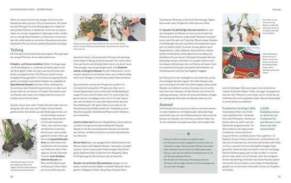 Produktbild: Das BLV Handbuch Stauden