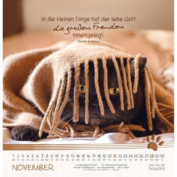 Produktbild: Katzen-Tatzen 2027