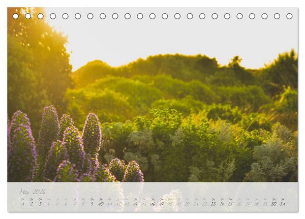 Produktbild: Neuseeland von Nord bis S&uuml;d (Tischkalender 2026 DIN A5 quer), CALVENDO Monatskalender