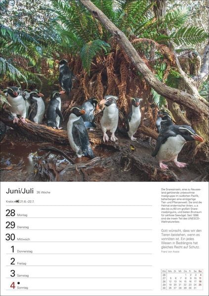 Produktbild: Wunder der Natur Wochenplaner 2027 - 53 faszinierende Fotografien