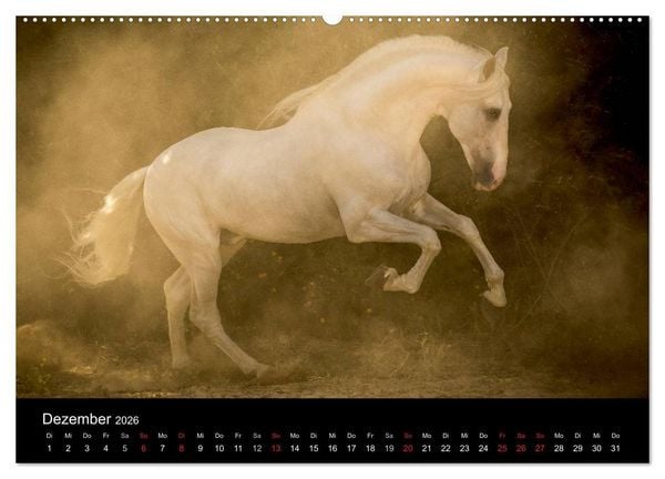 Produktbild: Spaniens stolze Pferde (hochwertiger Premium Wandkalender 2026 DIN A2 quer), Kunstdruck in Hochglanz