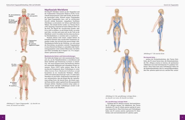 Produktbild: Referenzbuch Triggerpunkt Behandlung