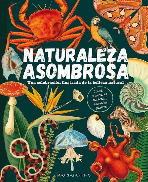 Produktbild: Naturaleza asombrosa : una celebraci&oacute;n ilustrada de la belleza natural