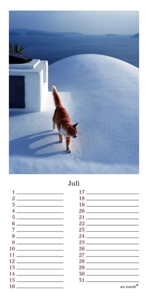 Produktbild: Geburtstagskalender Katzen