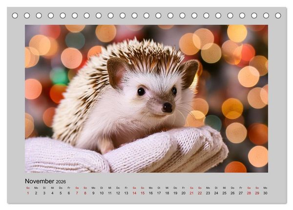 Produktbild: Mein Igel-Kalender (Tischkalender 2026 DIN A5 quer), CALVENDO Monatskalender