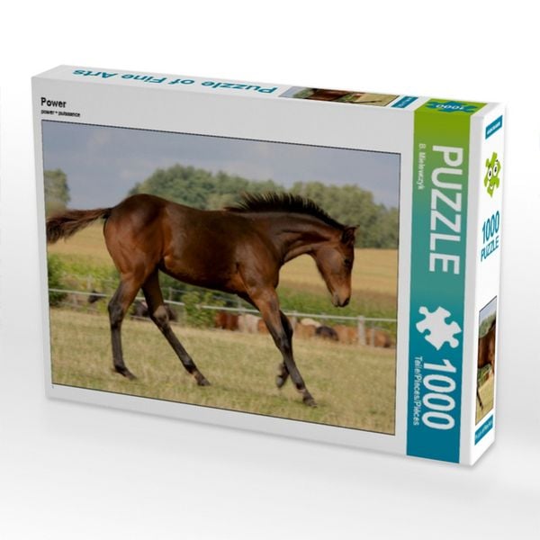 Power (Puzzle)