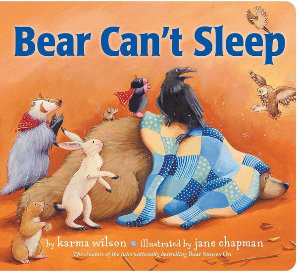 Produktbild: Bear Can't Sleep