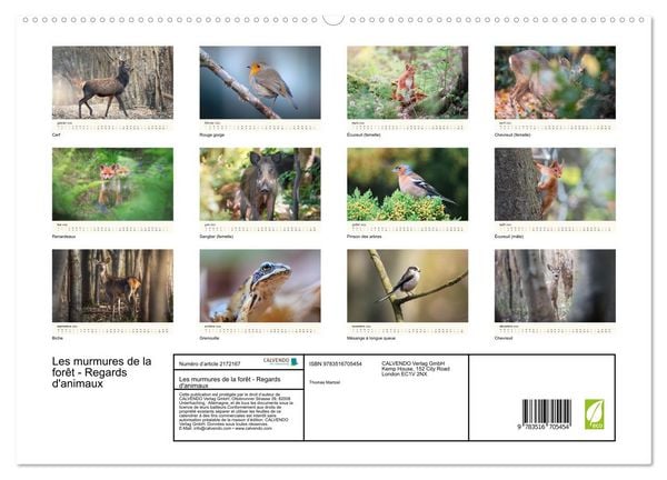 Produktbild: Les murmures de la for&ecirc;t - Regards d'animaux (Calendrier mural 2026 DIN A2 vertical) calendrier de bureau