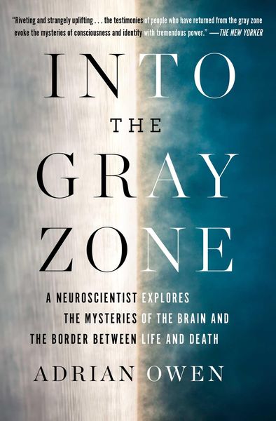 Produktbild: Into the Gray Zone