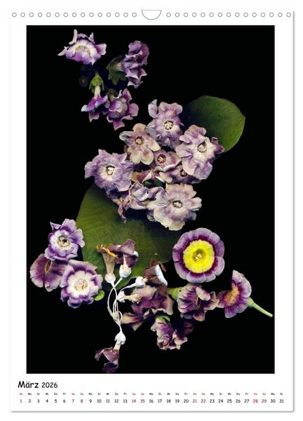 Produktbild: Bl&uuml;ten, toxisch aber wundersch&ouml;n (Wandkalender 2026 DIN A3 hoch), CALVENDO Monatskalender