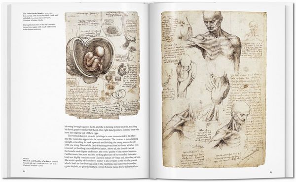 Produktbild: Leonardo
