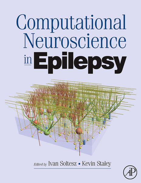Produktbild: Computational Neuroscience in Epilepsy