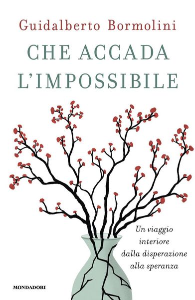 Produktbild: Che accada l'impossibile. Un viaggio interiore dalla disperazione alla speranza