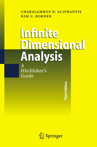 Produktbild: Infinite Dimensional Analysis