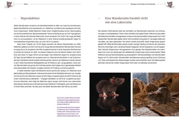 Produktbild: Ratten