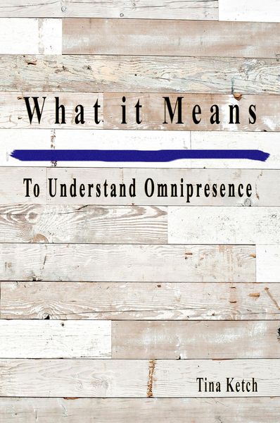 Produktbild: What it Means to Understand Omnipresence