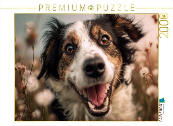 CALVENDO Puzzle Glücksmomente auf der Sommerwiese | 2000 Teile Lege-Größe 90 × 67 cm Foto-Puzzle für glückliche Stunden