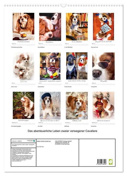 Produktbild: Das abenteuerliche Leben zweier verwegener Cavaliere (Wandkalender 2026 DIN A2 hoch), CALVENDO Monatskalender