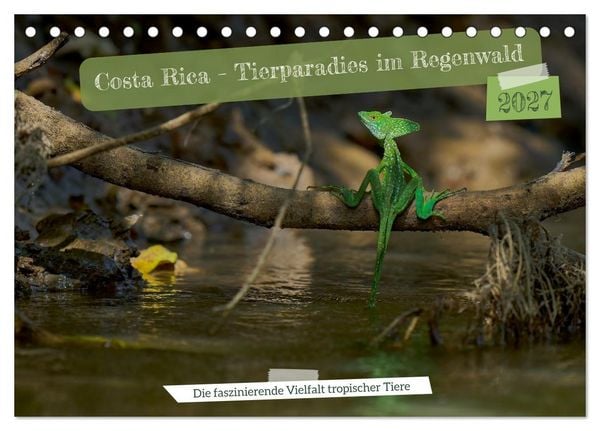 Produktbild: Costa Rica &ndash; Tierparadies im Regenwald (Tischkalender 2027 DIN A5 quer), CALVENDO Monatskalender