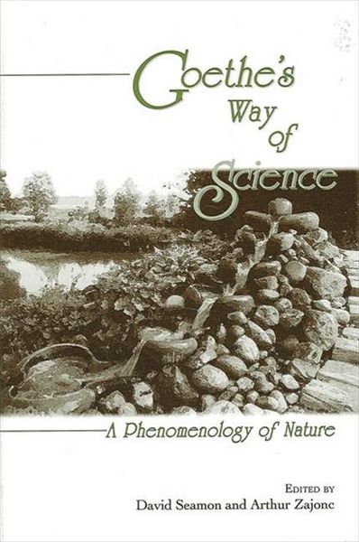 Produktbild: Goethe's Way of Science