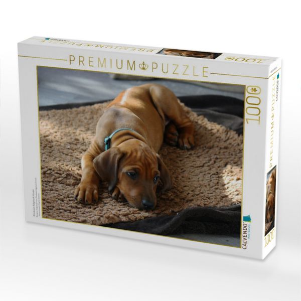 Produktbild: CALVENDO Puzzle Rhodesian Ridgeback H&uuml;ndin | 1000 Teile Lege-Gr&ouml;&szlig;e 64x48cm Foto-Puzzle f&uuml;r gl&uuml;ckliche Stunden
