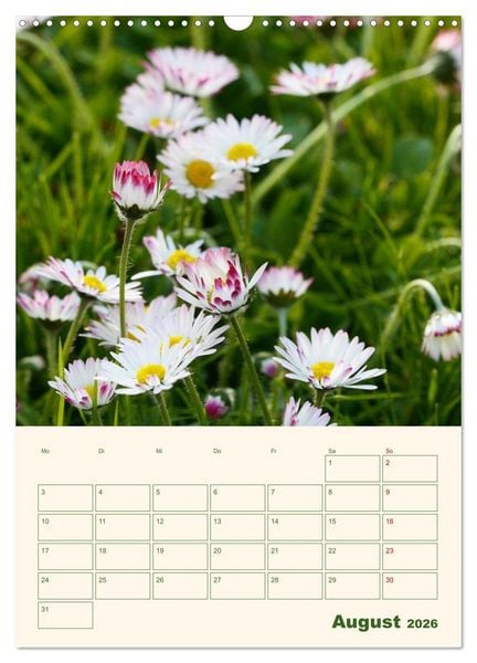 Produktbild: Vertr&auml;umte G&auml;nsebl&uuml;mchen (Wandkalender 2026 DIN A3 hoch), CALVENDO Monatskalender
