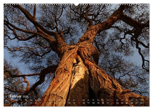 Produktbild: Zimbabwe (Wandkalender 2026 DIN A2 quer), CALVENDO Monatskalender