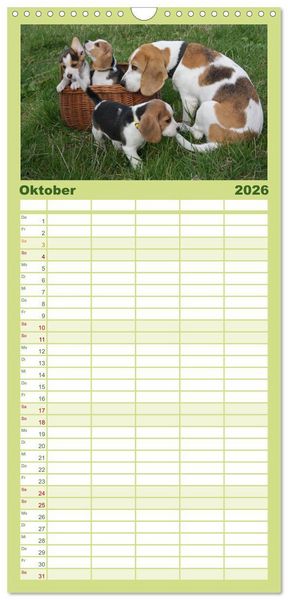 Produktbild: Familienplaner 2026 - Beagle mit 5 Spalten (Wandkalender, 21 x 45 cm) CALVENDO