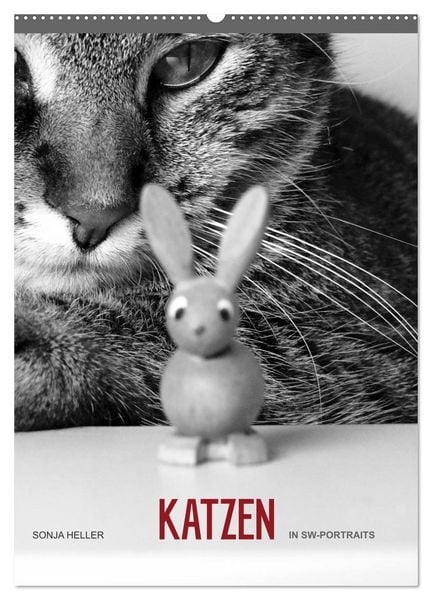 Sonja Heller Katzen in SW-Portraits (Wandkalender 2026 DIN A2 hoch), CALVENDO Monatskalender