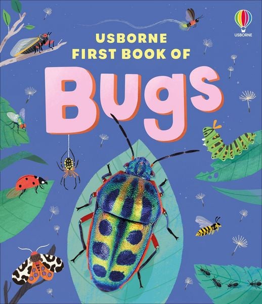 Produktbild: Usborne First Book of Bugs