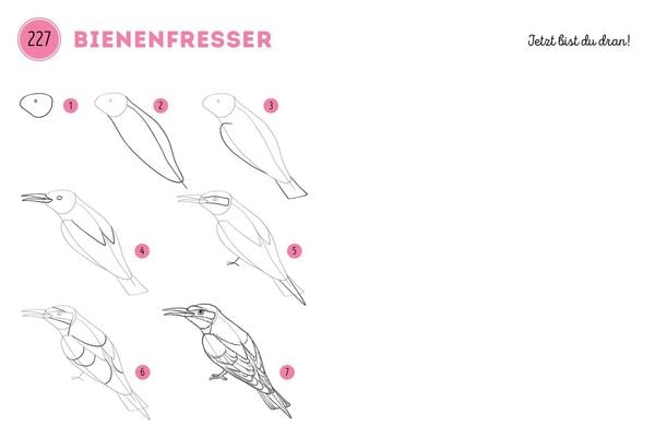 Produktbild: 300 Motive zeichnen &ndash;&nbsp;Tiere