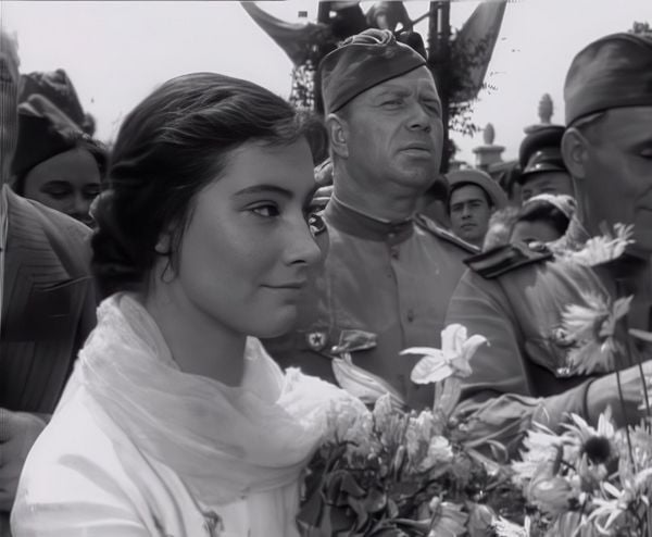 Produktbild: Wenn die Kraniche ziehen - Special Restored Edition (DEFA Filmjuwelen)