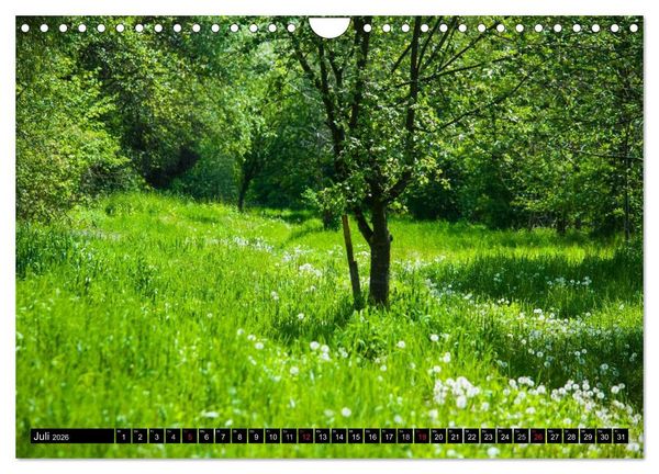Produktbild: Geheime Ecken der Steiermark (Wandkalender 2026 DIN A4 quer), CALVENDO Monatskalender