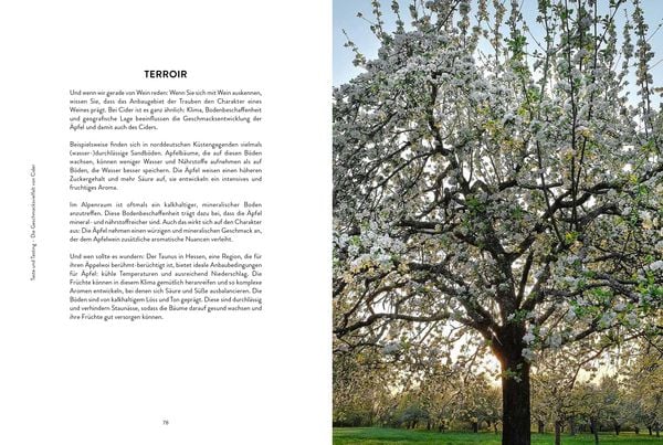 Produktbild: Cider