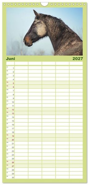 Produktbild: Familienplaner 2027 - Wilde Pferde &bull; Mustangs in USA mit 5 Spalten (Wandkalender, 21 x 45 cm) CALVENDO