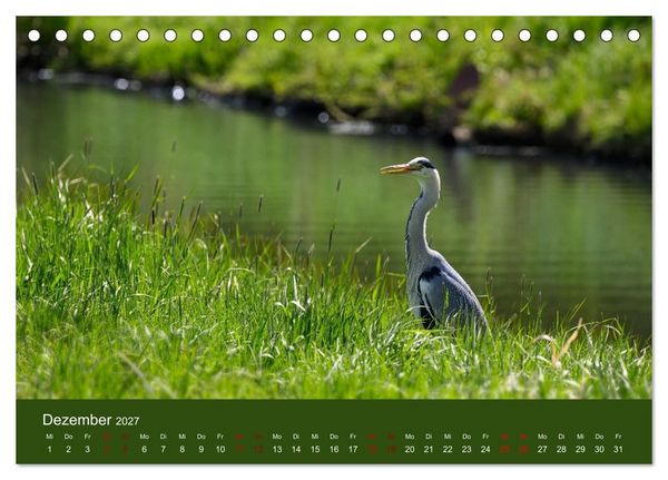 Produktbild: Reiher in der Elbmarsch (Tischkalender 2027 DIN A5 quer), CALVENDO Monatskalender